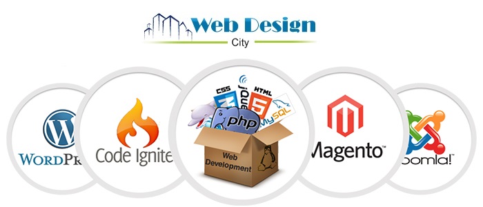 What Are the Services Offered by Professional Web Development Company What Are the Services Offered by Professional Web Development Company