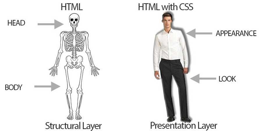 Knowledge Of The Backend Processes Knowledge Of The Backend Processes