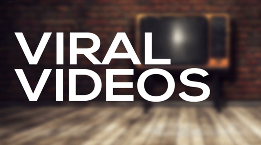 viral-videos
